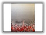 Coral Storm 3 - 42x48